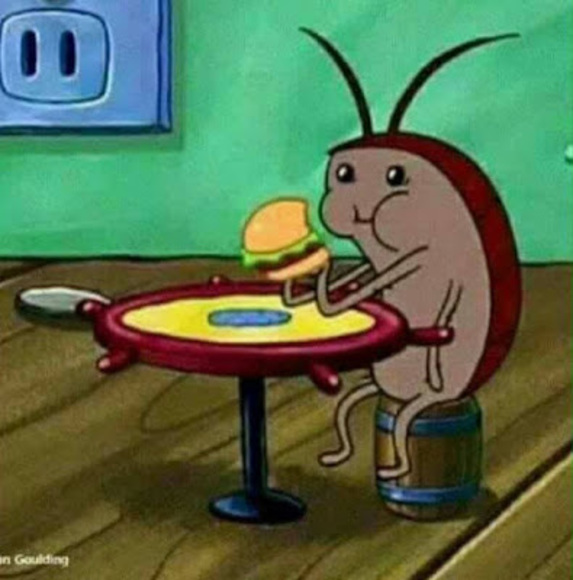 Meet your Posher, Rebecca - Picture 1 of 1